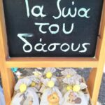 "Ζωάκια του δάσους"  