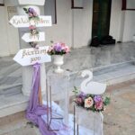 "Κύκνος"  