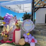 Στολισμός  " Butterflies Ballons"  