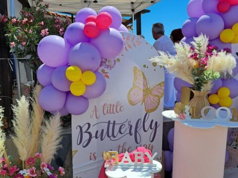 Στολισμός  " Butterflies Ballons"  
